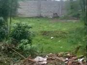 Two Lots for Sale in Pacific Grand Villas