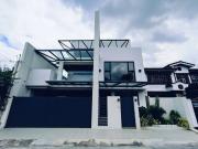 Two Storey House and Lot for Sale in Paranaque near SNR MD