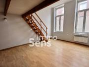 TYPE 1 BIS LILLE SAINT MAURICE PELLEVOISIN