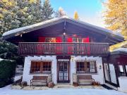 Typisches Chalet mitten im Grünen, nur wenige Minuten...