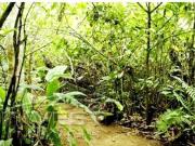 Ubatuba, Praia do Felix Pé na areia, sobrado com 200m2,...