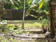 Ubatuba, Vila Itamambuca Casa em Linda área com 5.000m2...