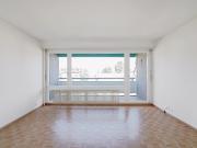 Über den Dächern von Basel