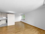 Über den Dächern von Basel