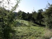 ÜBER DEN DÄCHERN VON KIRCHHÖRDE !