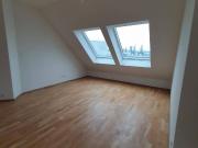 Über den Dächern von Stadlau lichtdurchfluteter...