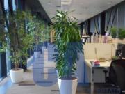 Ufficio in Affitto a Assago