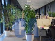 Ufficio in affitto a Assago