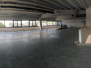 Ufficio in affitto a Carrara