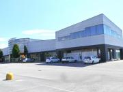 Ufficio in affitto a Dignano