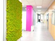 Ufficio in affitto a Milano