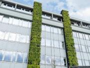 Ufficio in affitto a Milano