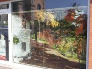 Ufficio in affitto a Montebelluna