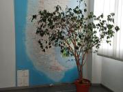 Ufficio in affitto a Novara