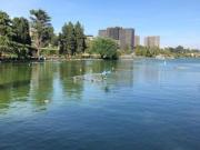 Ufficio in affitto a Roma