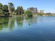 Ufficio in affitto a Roma