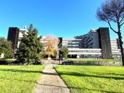 Ufficio in affitto a Roma Ufficio in affitto a Roma