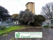 Ufficio in affitto a Roma