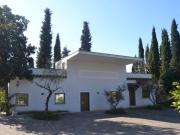 Ufficio in affitto a Roma