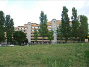 Ufficio in affitto a Roma