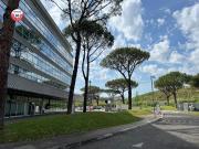 Ufficio in affitto a Roma Ufficio in affitto a Roma