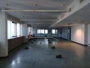 Ufficio in affitto a Segrate