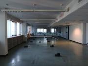 Ufficio in Affitto a Segrate