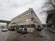 Ufficio in affitto a Trieste