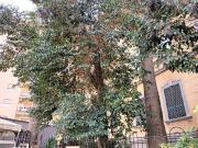 Ufficio in affitto di 126 m² in Piazza degli Artisti, 38