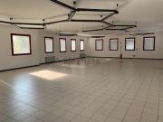 Ufficio in affitto di 255 m² in Viale Palmiro Togliatti