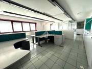 Ufficio in affitto di 525 m² in Via Caltana, 121