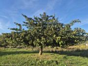 Ufficio in vendita a Firenze