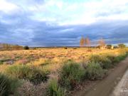 Ugarteche: Finca de 10 hectáreas lista para producir