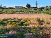 Uliveto in vendita a Valderice