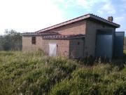 Uliveto Maremma Toscana Affaronissimo