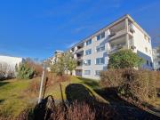 Ulm Wiblingen: Den tollen Schnitt, die Ruhe und die...