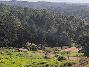 Última Chance no Residencial Flamboyant – 500m² em...