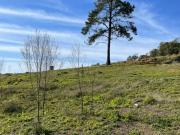 Última oportunidade para 1ª quinzena de janeiro!