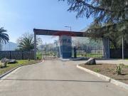 Últimas 4 Parcelas, Lomas de Chena