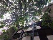 Último departamento exterior con terraza en la bella...