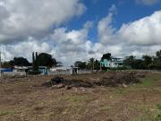 Últimos 4 lotes en venta en Yobain