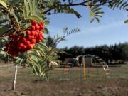 ULTIMOS LOTES DISPONIBLES BARRIO EL HIPICO ULTIMOS LOTES DISPONIBLES BARRIO EL HIPICO