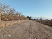 Ultimos Terrenos El Oliveto excelente ubicación