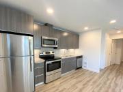 Ultra Modern Lower Level Suite