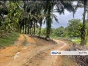 @ Ulu Tiram 66 Acres Agricultural Land For