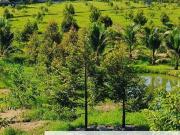 Ulu Tiram 9 Acres Land