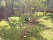 Um lugar para quem gosta de plantar, criar gados, horta...