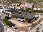 Uma adega com história, pronta para o futuro em Arruda...