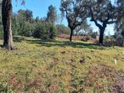 Uma quinta maravilhosa e única com uma área total de...