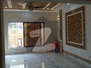 Umer Block New House For Rent Bahria Town Phase 8 Umer Block